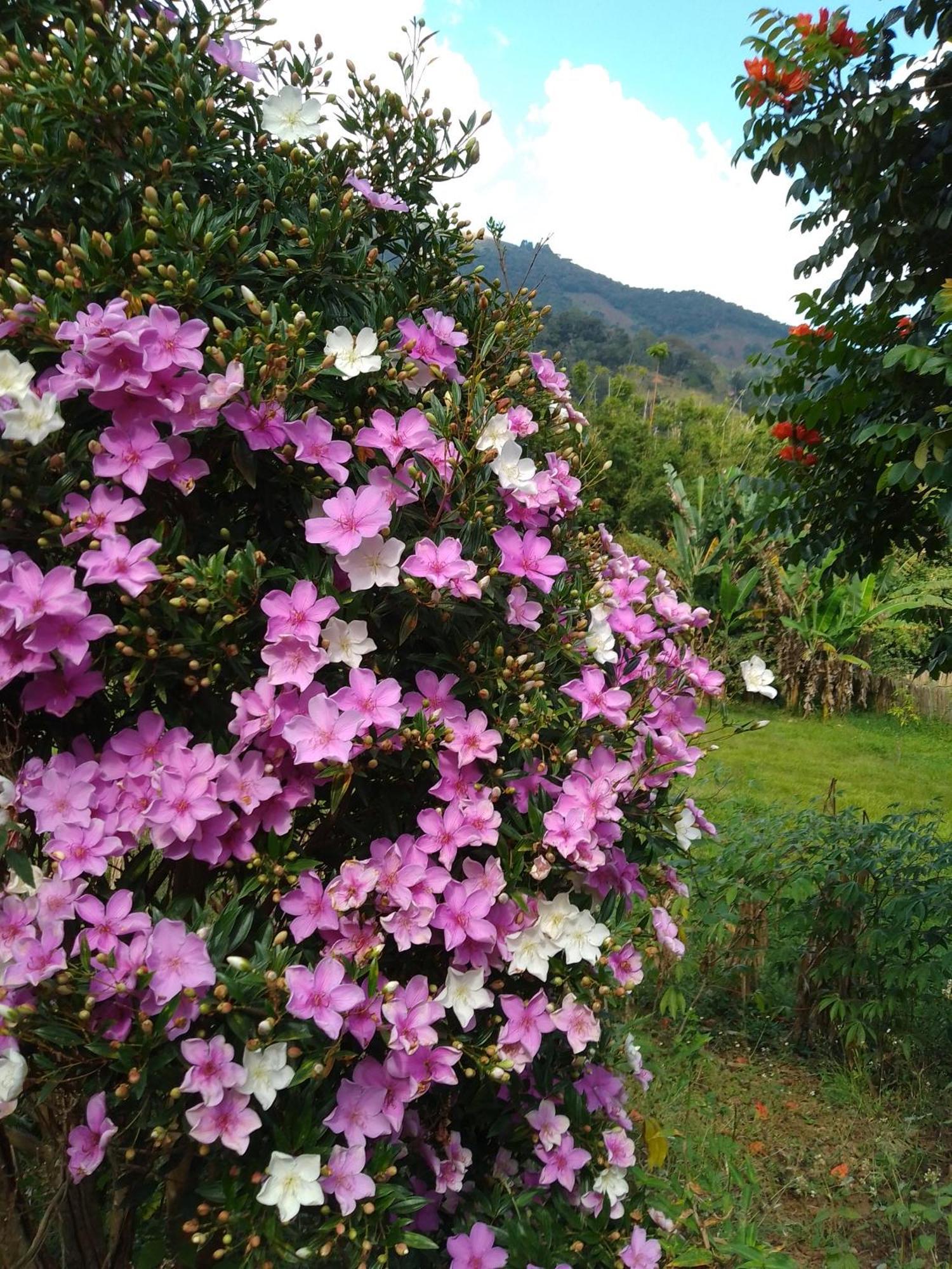Villa Rancho Pe Da Pedra São Bento do Sapucaí Zimmer foto