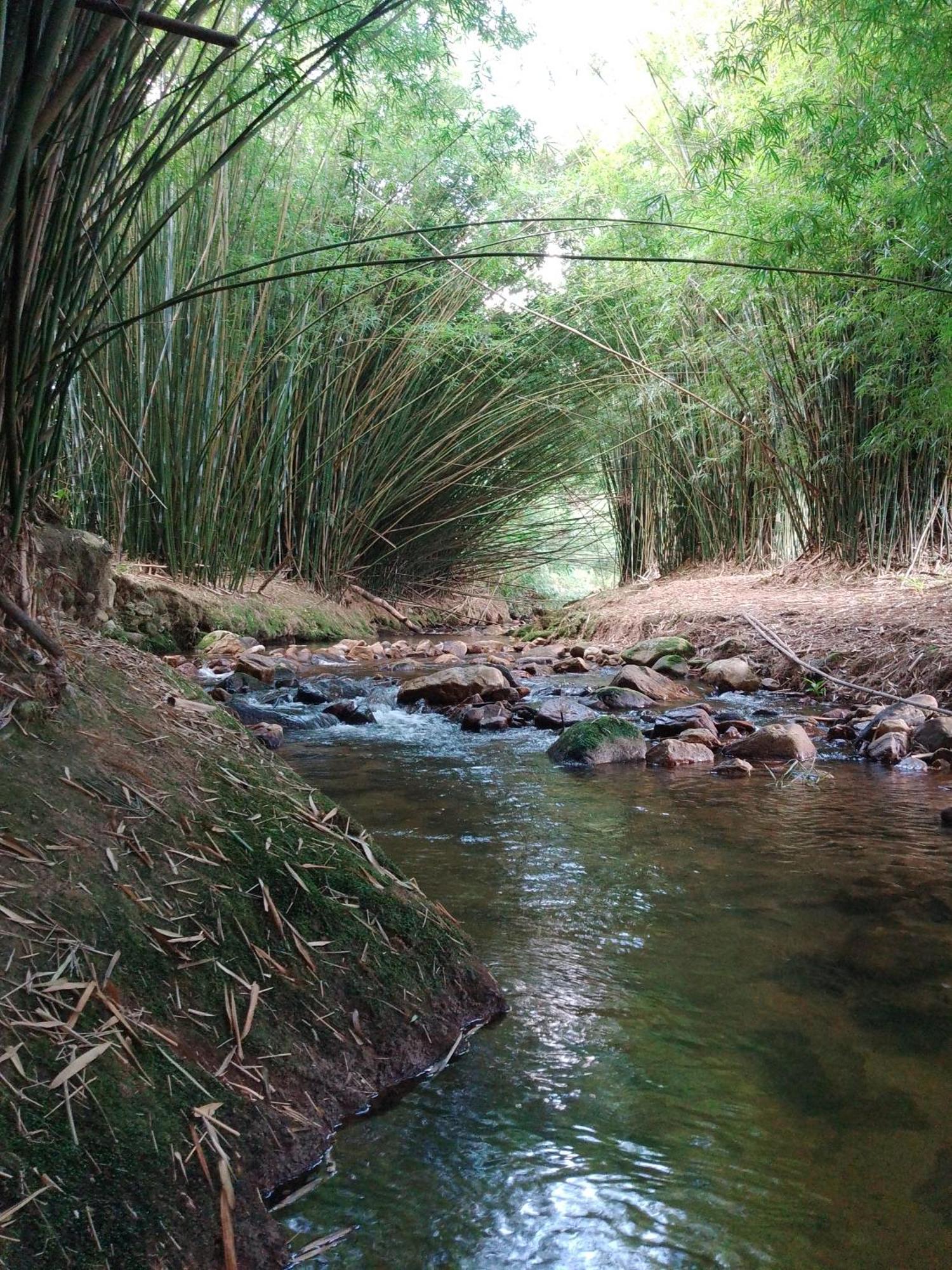 Villa Rancho Pe Da Pedra São Bento do Sapucaí Zimmer foto